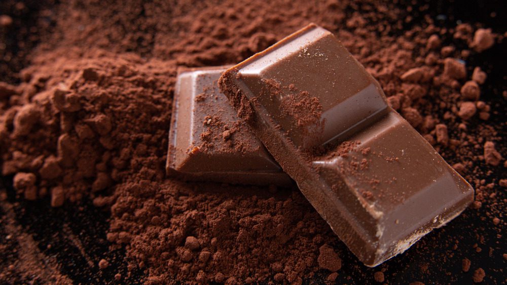 кусочки темного шоколада и какао-порошок
