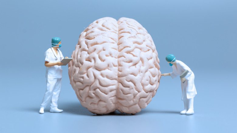 гигантский мозг, изучаемый врачами 