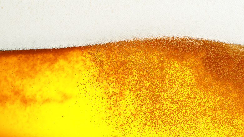 крупный план пива золотистого цвета с пенной головкой