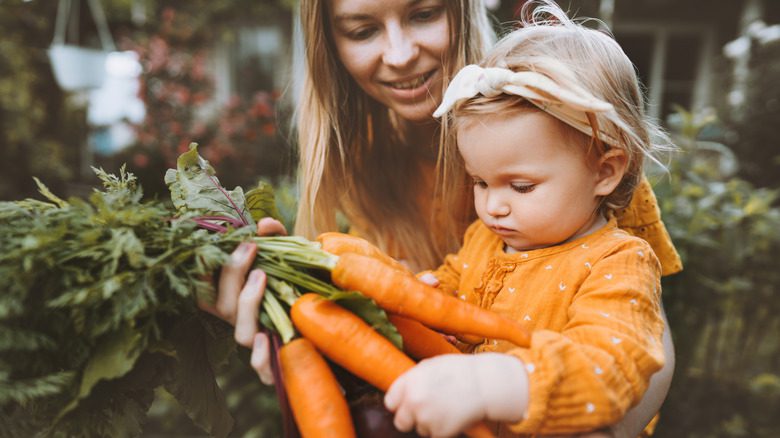 Взрослый и ребенок держат морковь