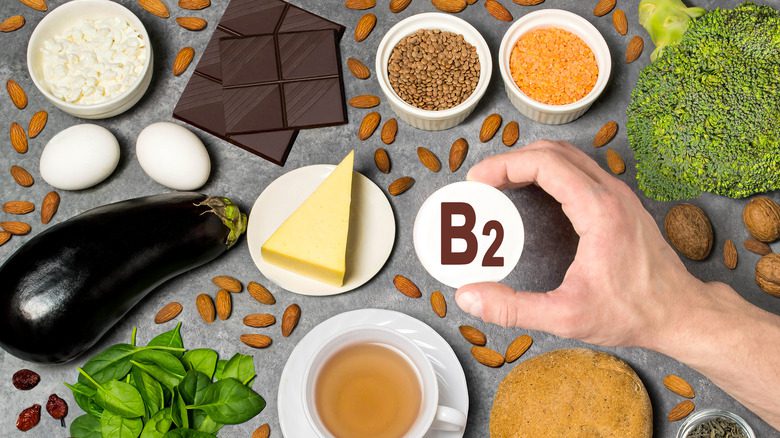 коллекция продуктов с высоким содержанием рибофлавина