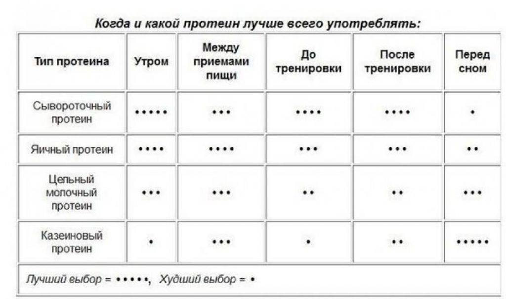 Протеин перед или после физической нагрузки